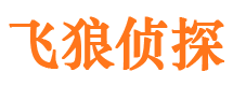 珠山市场调查